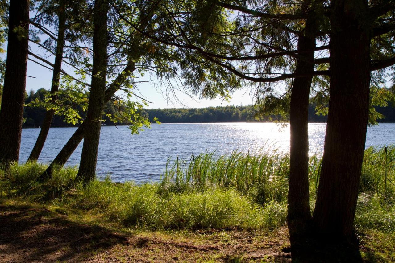 Ferienwohnung Am Weltnaturerbe Grumsin Ziehten Exteriér fotografie