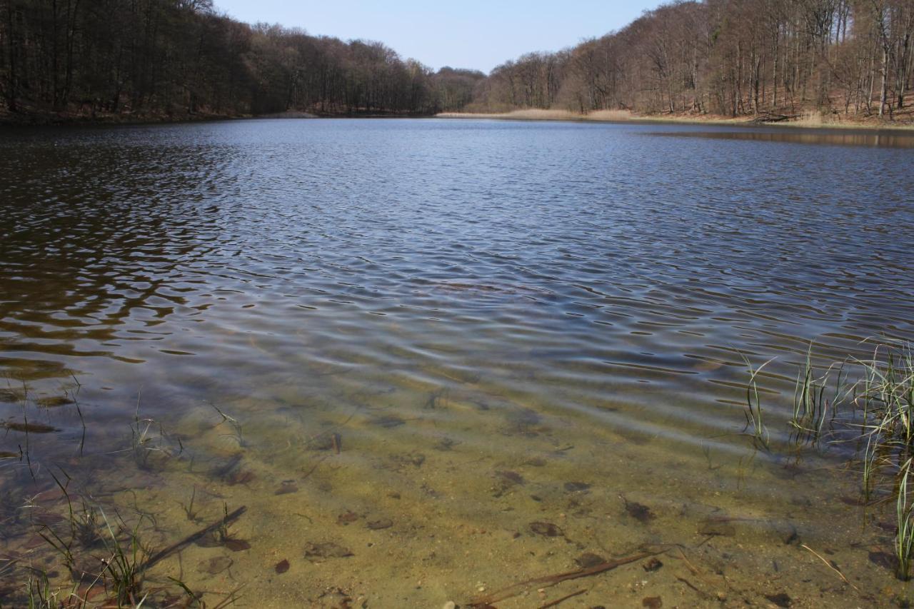 Ferienwohnung Am Weltnaturerbe Grumsin Ziehten Exteriér fotografie