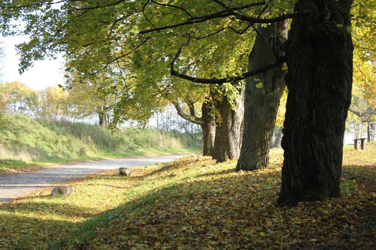 Ferienwohnung Am Weltnaturerbe Grumsin Ziehten Exteriér fotografie